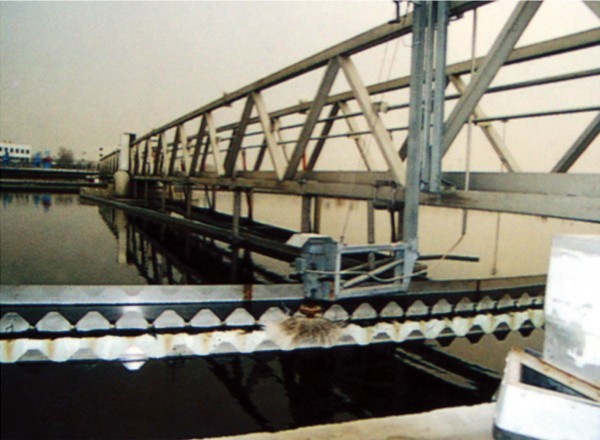 ZBG型周邊傳動刮泥機